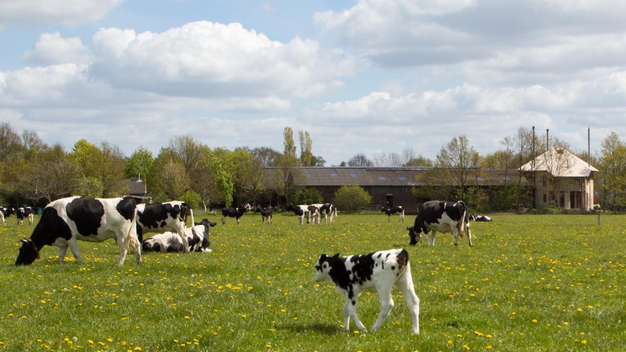 Biotel Achterhoek Lievelde Eksteriør bilde